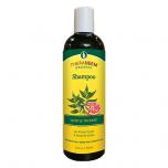 Theraneem Gentle Therape Shampoo