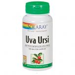 Uva Ursi