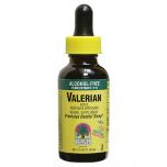 Valerian Root