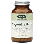 Vegetal Silica