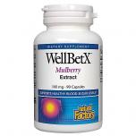 WellBetx Mulberry Extract