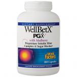 Wellbetx PGX Soluble Fiber