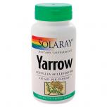 Yarrow