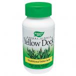 Yellow Dock Root