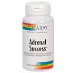 Adrenal Success