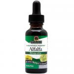 Alfalfa Herb