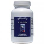 Artemesia