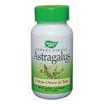 Astragalus Root