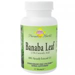 Banaba Leaf