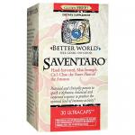 Better World Saventaro