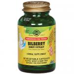 Bilberry Berry Extract