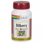 Bilberry One Daily