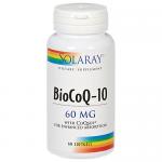 BioCoQ10