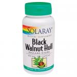 Black Walnut Hull