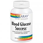 Blood Glucose Success