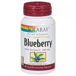 Blueberry Leaf Extract