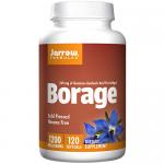 Borage Gla240