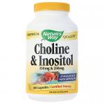 Choline and Inositol