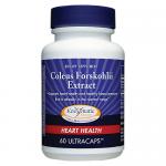 Coleus ForskohlII Extract