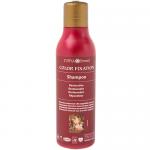 COLOR FIXATION SHAMPOO RESTOAT