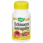 Echinacea Astragalus Reishi