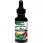 Echinacea Grape Flavor