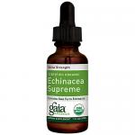 Echinacea Supreme