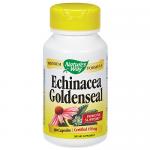 Echinacea w/Goldenseal Root