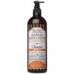 Egyptian Black Castor Carrot Seed Shampoo