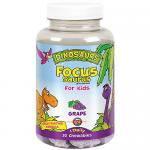 Focus Saurus For Kids