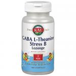 Gaba LTheanine Stress B