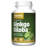 Ginkgo Biloba 50:1