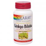 Ginkgo biloba Extract