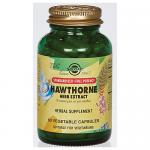 Hawthorne Herb Extract