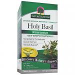 Holy Basil