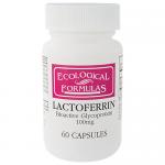 Lactoferrin