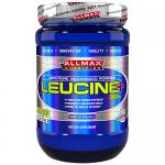 LEUCINE 400G