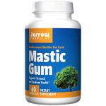 Mastic Gum