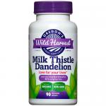 MILK THISTLE DANDELION