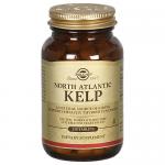 North Atlantic Kelp