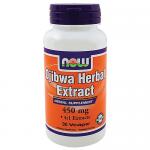 Ojibwa Herbal Extract 450 Mg
