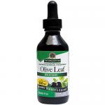 Oleopein Olive Leaf