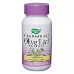Olive Leaf (Standardized)