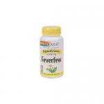 Organic Feverfew Leaf