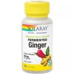 Organically Grown Fermented Ginger