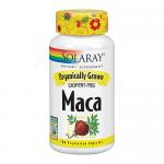 Organically Grown Maca