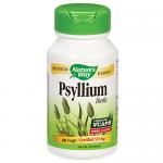 Psyllium Husks