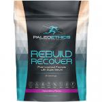 Rebuild Recover