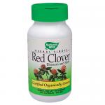 Red Clover Blossom Herb