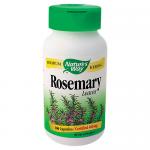 Rosemary Leaves